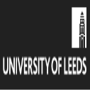 Lecturer Positions in International Business at Leeds University, UK